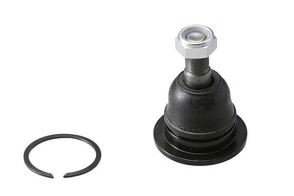 Rotule de suspension (Rotule de pivot) AISIN ref. JBJNI-008
